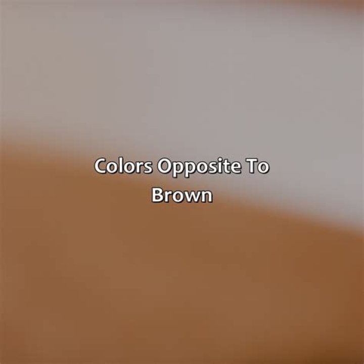 Discover The Opposite Of Brown